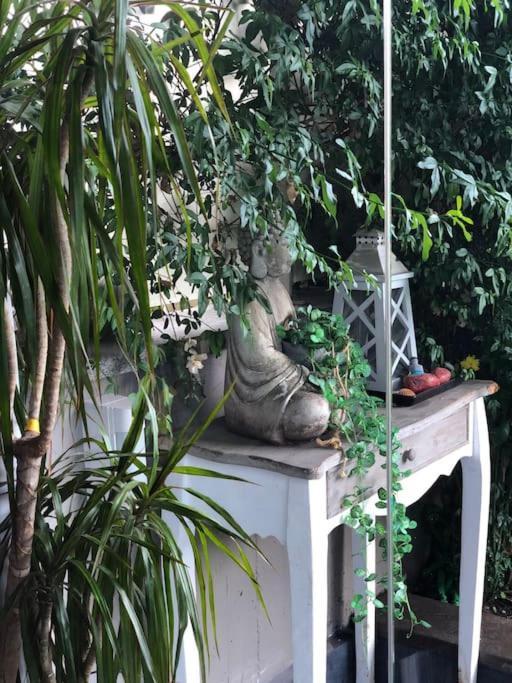 Favoloso Appartamento Roma Con Giardino Exteriér fotografie